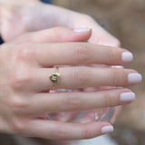 CORINA - Accessorea Ring Gold